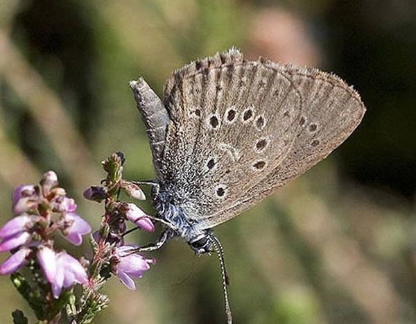 1_201205221203301pmii.jpg