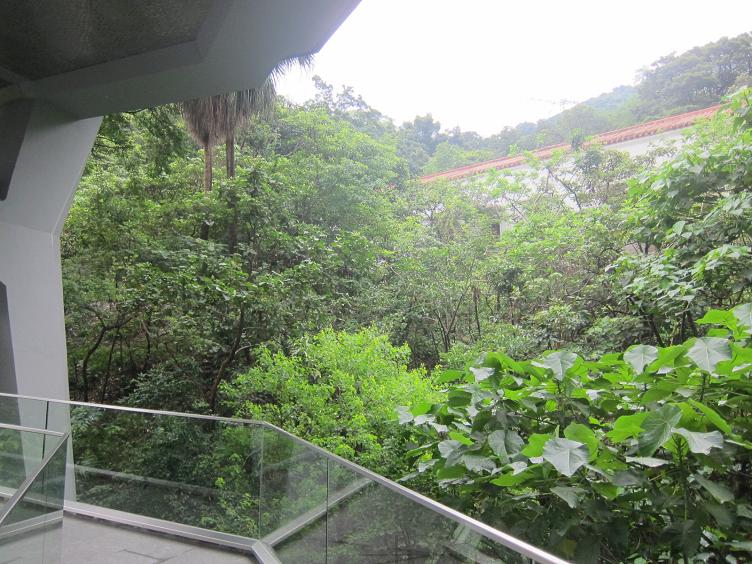 B03.JPG