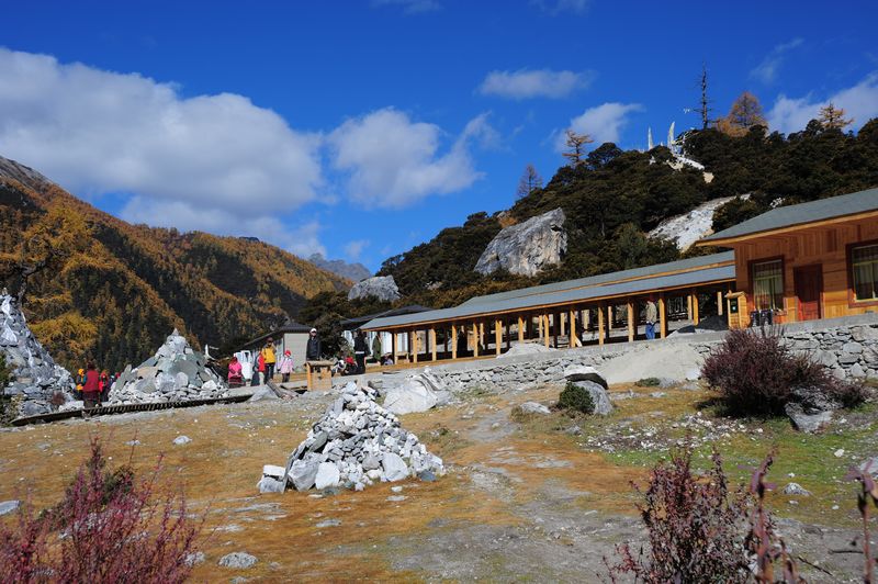 沖古寺_洛絨牛場_027.jpg