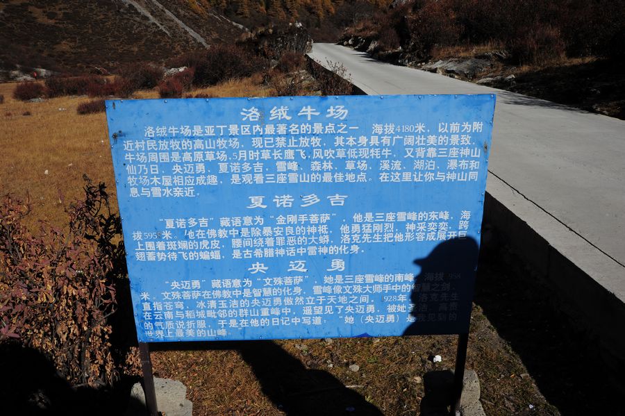 沖古寺_洛絨牛場_018.jpg