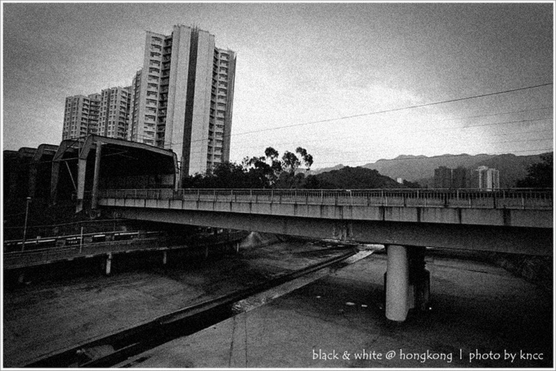 black & white (1)  003.jpg