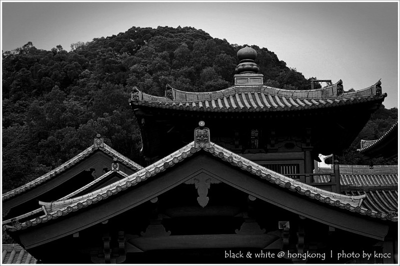black & white (1)  016.jpg