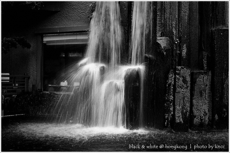 black & white (1)  025.jpg