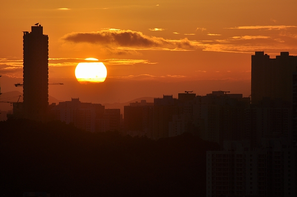 DSC_0247.JPG