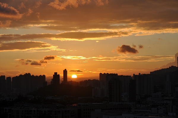 DSC_0249.JPG