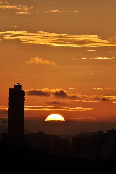 DSC_0250.JPG