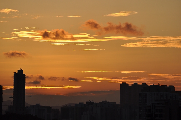 DSC_0258.JPG