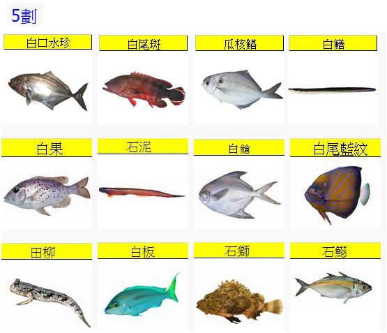Fish5-2.jpg