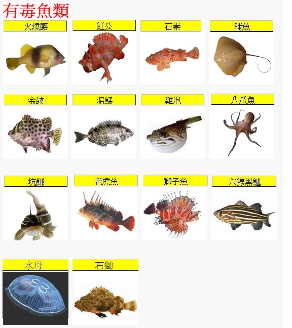 Harmful Fish.jpg