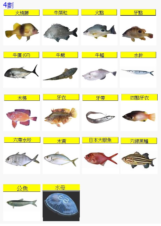 Fish4.jpg