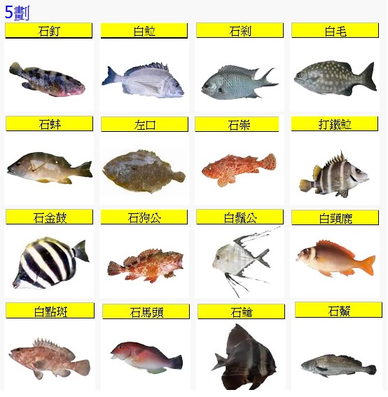 Fish5-1.jpg