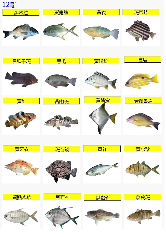 Fish12-1.jpg