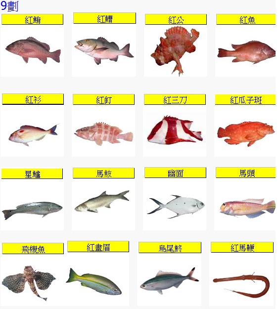 Fish9-1.jpg