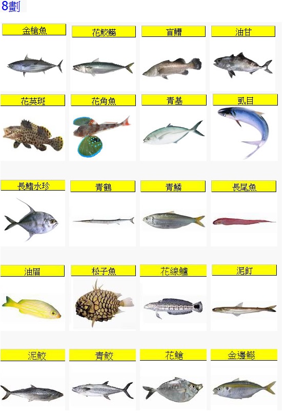 Fish8-2.jpg