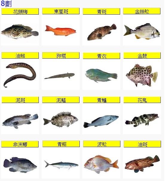Fish8-1.jpg
