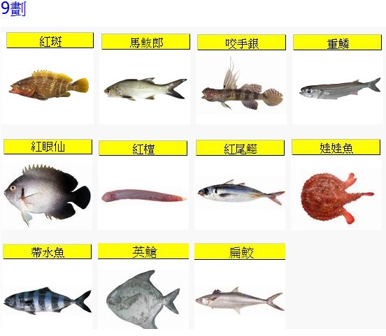 Fish9-2.jpg