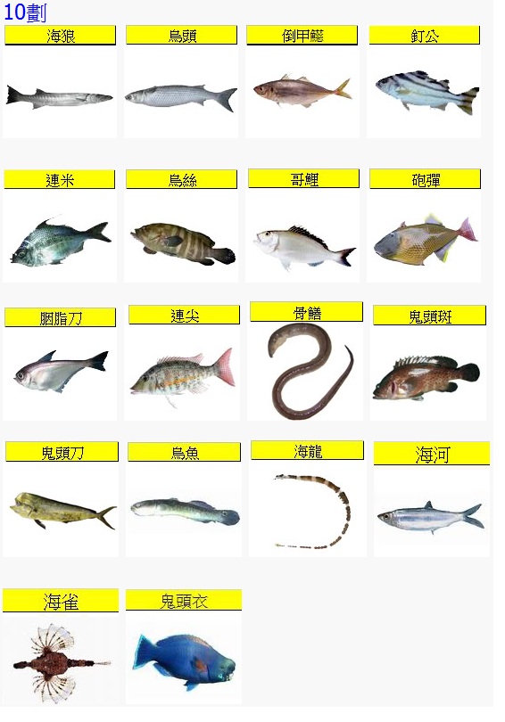 Fish10.jpg