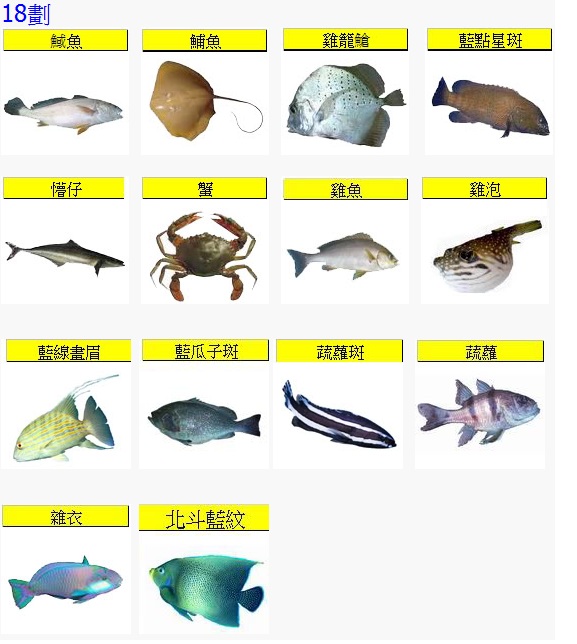 Fish18.jpg