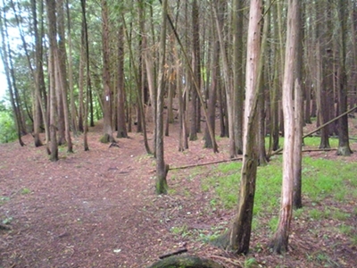 DSCN8154.JPG