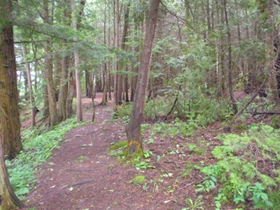DSCN8158.JPG