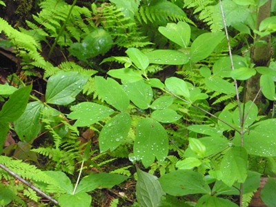 DSCN8159.JPG