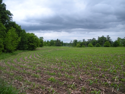 DSCN8164.JPG