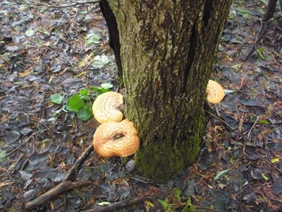 DSCN8169.JPG