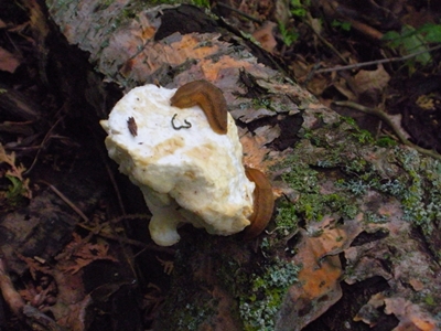 DSCN8177.JPG