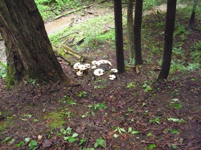 DSCN8178.JPG