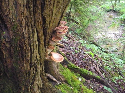 DSCN8181.JPG