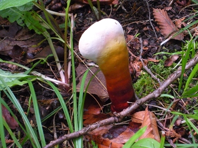 DSCN8209.JPG