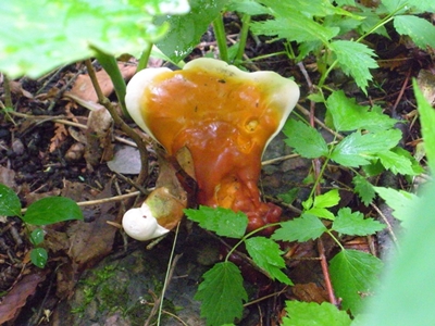 DSCN8210.JPG