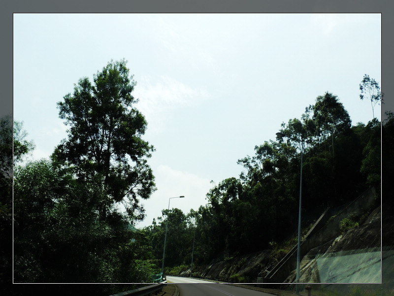DSCN1648.jpg