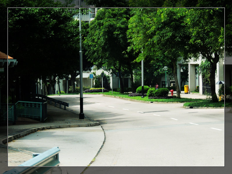 DSCN1658.jpg