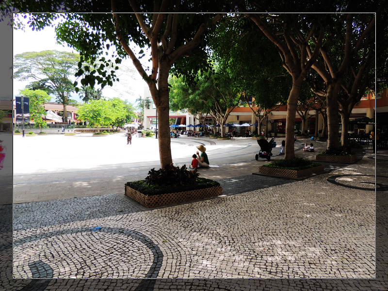 DSCN1686.jpg