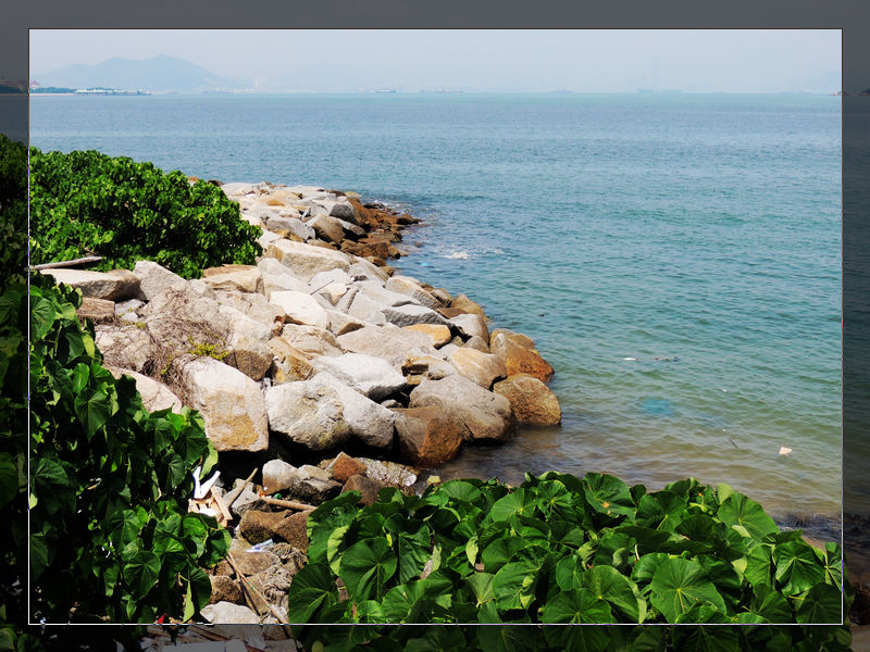 DSCN1777.jpg