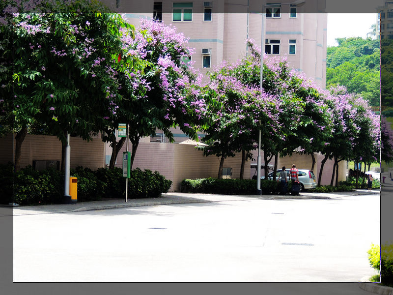 DSCN1780.jpg