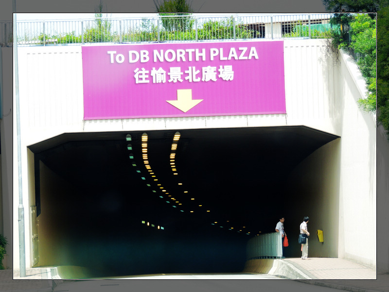 DSCN1787.jpg