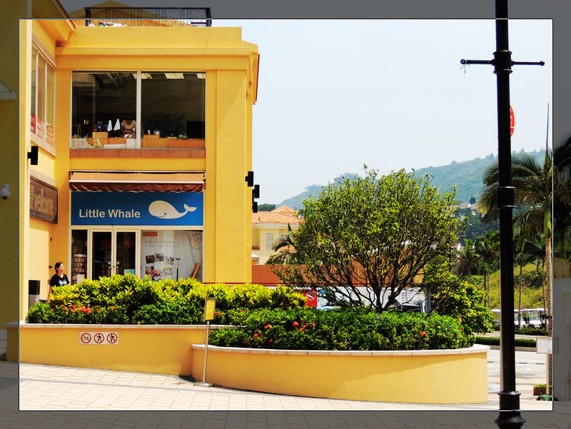 DSCN1806.jpg