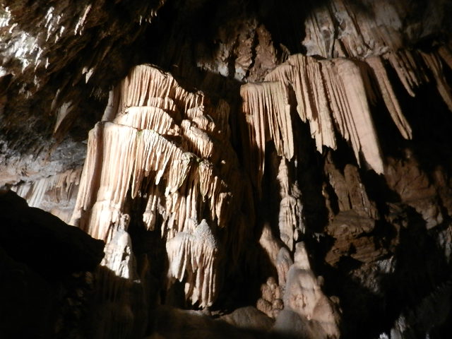 DSCN8709.JPG