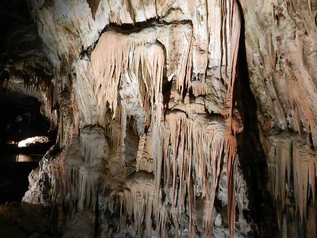DSCN8713.JPG