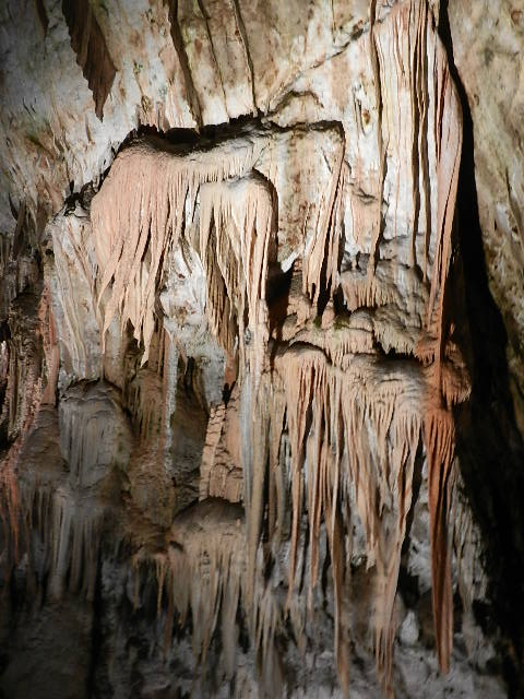 DSCN8714.JPG