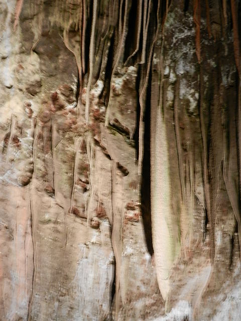 DSCN8716.JPG