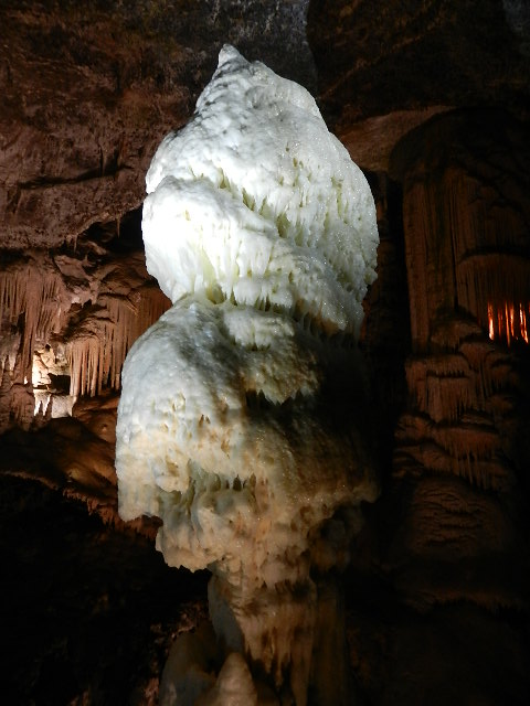 DSCN8723.JPG