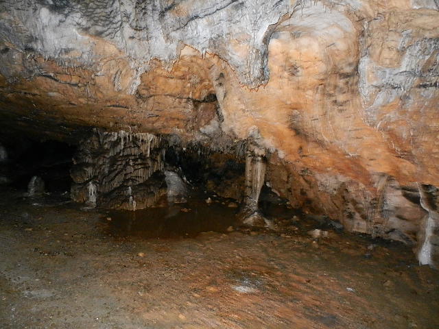 DSCN8610.JPG