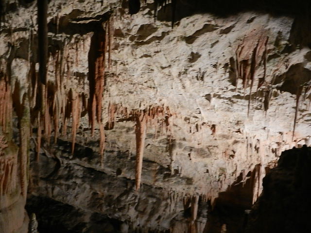 DSCN8638.JPG