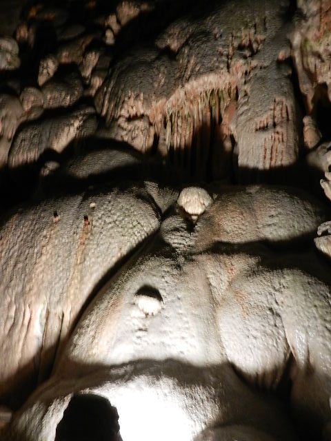 DSCN8639.JPG