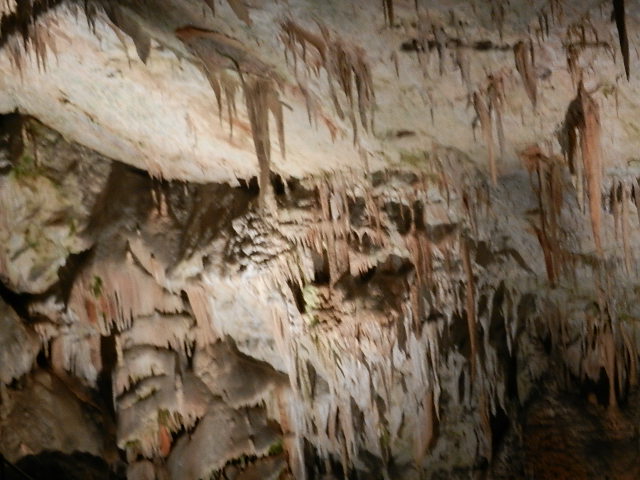 DSCN8644.JPG
