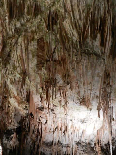 DSCN8648.JPG