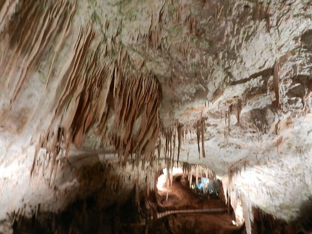 DSCN8649.JPG